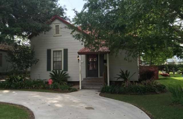 119 Bracy St - 119 Bracy Street, Jeanerette, LA 70544