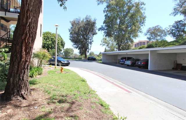 5368 Algarrobo Gallery 4