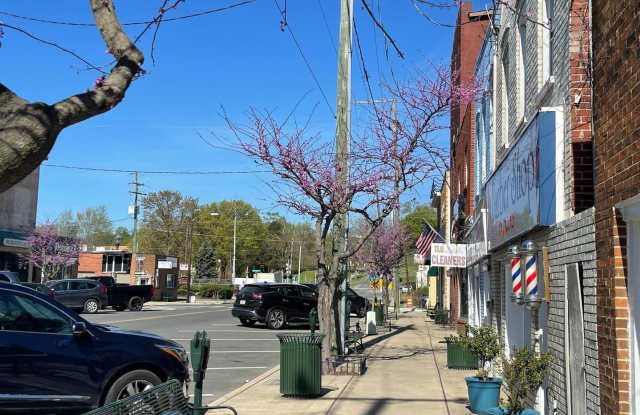 319 POTOMAC AVENUE Gallery 2