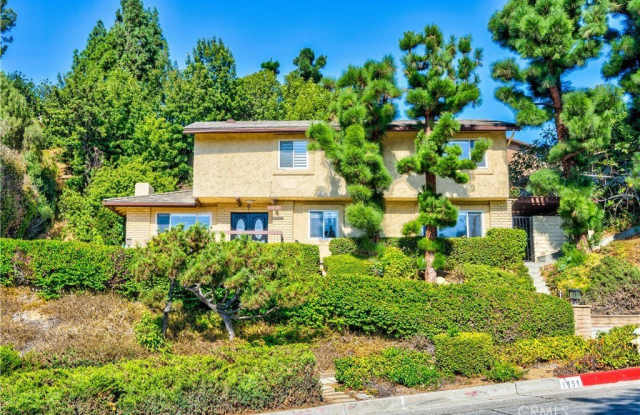 1951 Alpha Street photos photos