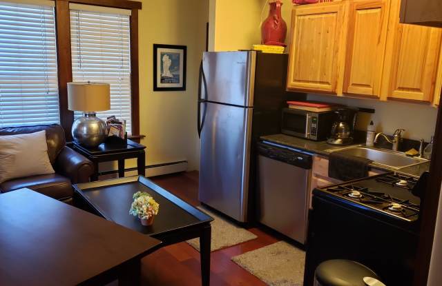 One Bedroom Apartment For Rent Near Pearl Street Mall Gallery 4