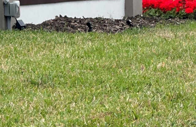 106 MARY DRIVE photos photos 106 MARY DRIVE photos photos