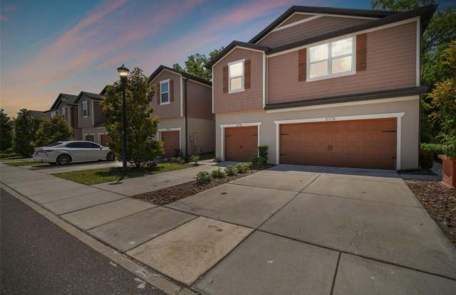 5376 SYLVESTER LOOP - 5376 Sylvester Loop, Mango, FL 33610