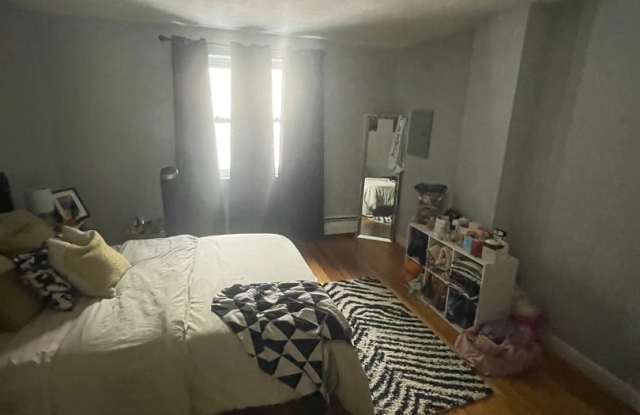 Huge 1 bed near the Green Line and the Allston/Brighton border. photos photos