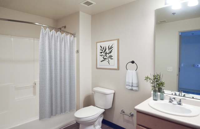 Professional Building Lofts Gallery 4