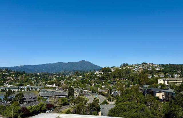 BEAUTIFUL UPPER 3BD/2BA UNIT PLUS BONUS ROOM. TIBURON CONDO. MT.TAM VIEWS! photos photos