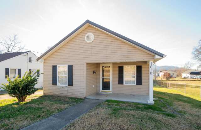 2 bed/1 bath site built home - 1010 Myrtle Street, Kingsport, TN 37660
