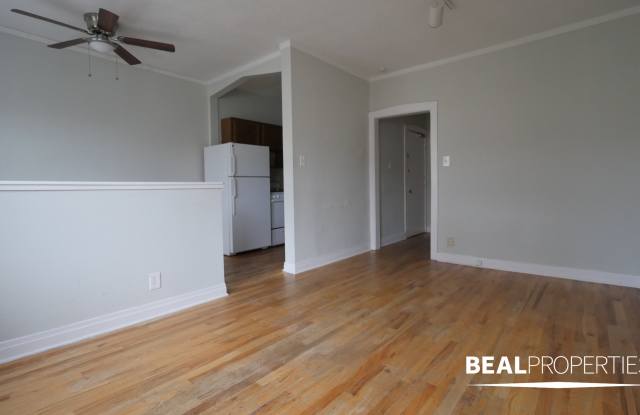 511 W Melrose St - 511 West Melrose Street, Chicago, IL 60657