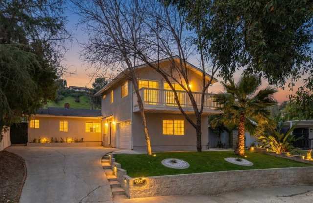 22247 De La Osa Street photos photos