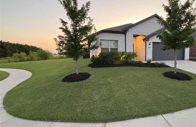 4205 Cordata Drive photos photos