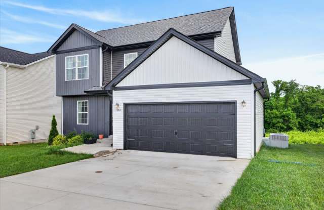 3 Bedroom Pet Friendly Home For Rent! Gallery 3