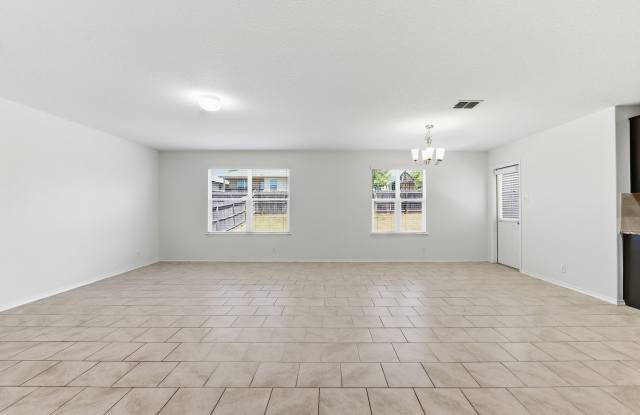 15243 Cinnamon Teal Gallery 3