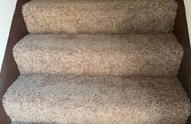 124 OAK MANOR PLACE - 124 Oak Manor Place, Allegheny County, PA 15235 124 OAK MANOR PLACE - 124 Oak Manor Place, Allegheny County, PA 15235