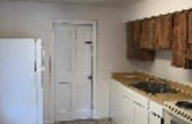 1410 E Bougainvillea Ave - 1410 East Bougainvillea Avenue, Tampa, FL 33612