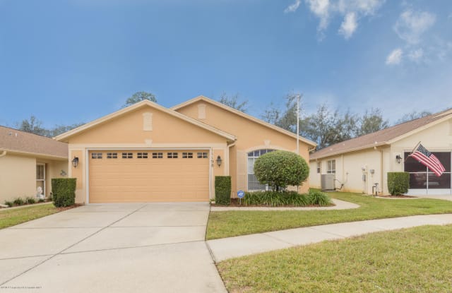 11198 Healthrow - 11198 Heathrow Avenue, Spring Hill, FL 34609