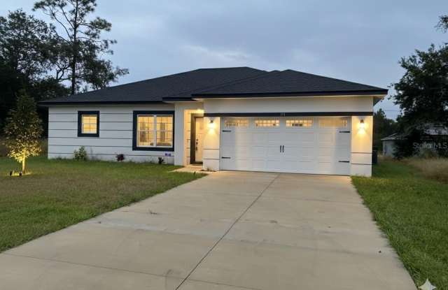 373 AMBERJACK Gallery 1