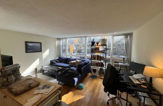 351 Harvard St. - 351 Harvard Street, Cambridge, MA 02138