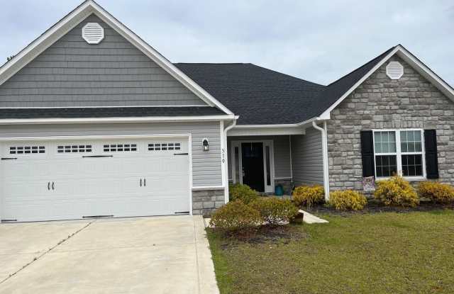 310 Old Snap Dragon Court - 310 Old Snap Dragon Court, Piney Green, NC 28546