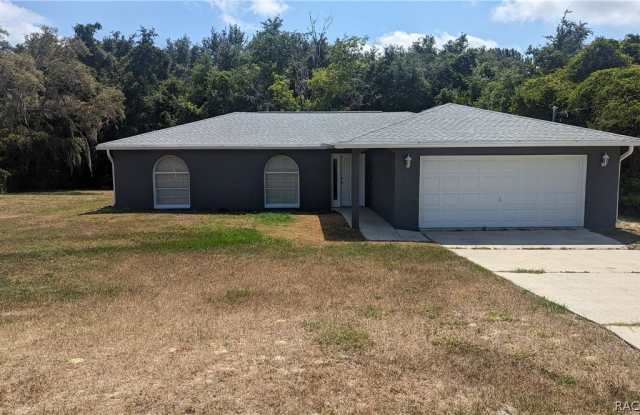 870 S Thyme Point - 870 South Thyme Point, Homosassa Springs, FL 34448
