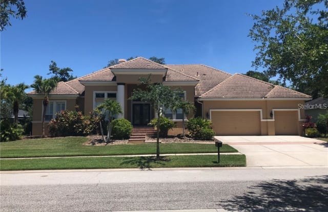 6114 AVOCETRIDGE DRIVE - 6114 Avocetridge Drive, Fish Hawk, FL 33547