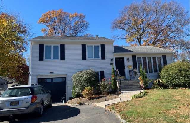 291 White Avenue - 291 White Avenue, Pearl River, NY 10965