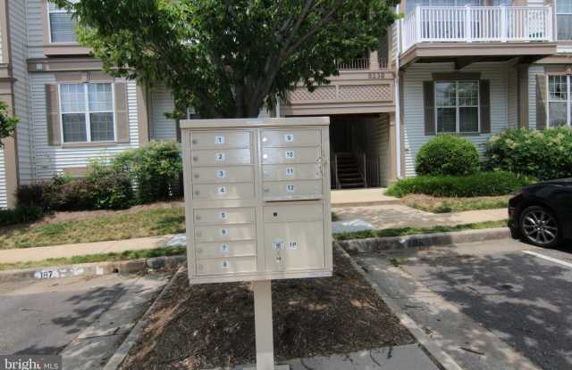 8238 CATBIRD CIRCLE Gallery 2