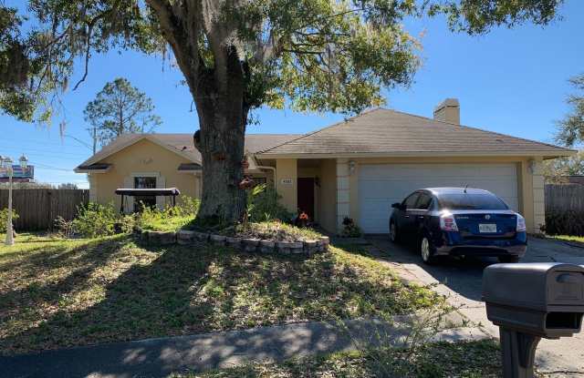 4502 Twin Crest Way - 4502 Twin Crest Wy, Carrollwood, FL 33624