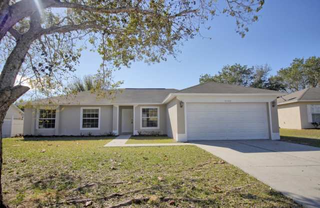 13118 Pinyon Dr. Clermont, FL. 34711 photos photos