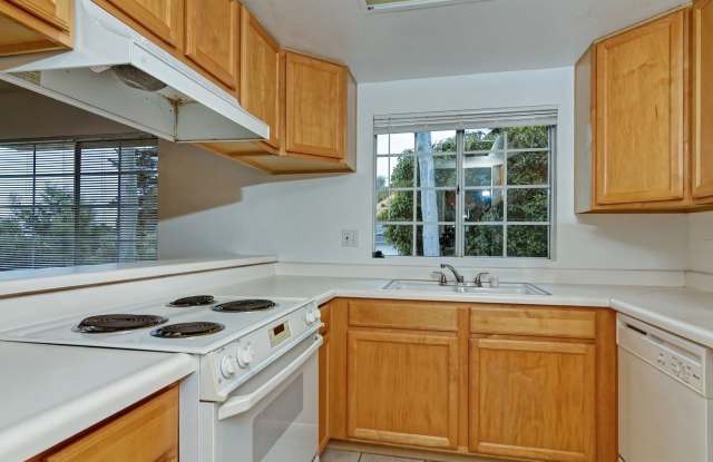 4850 Bella Pacific Row Unit 259 Gallery 3