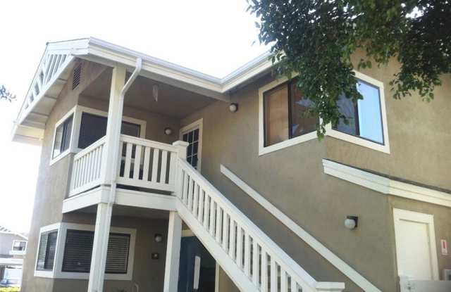 217 Tarocco photos photos 217 Tarocco photos photos