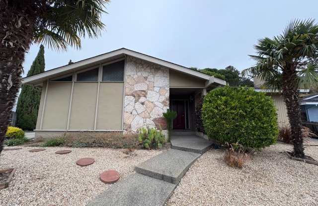 3307 Shasta Drive photos photos