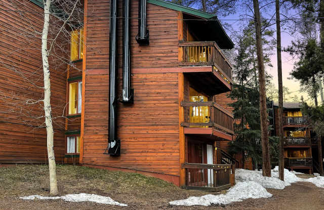 2 Bedroom, 1 Bath on Peak 8! Updated unit, ground floor, great location! Heat included! photos photos