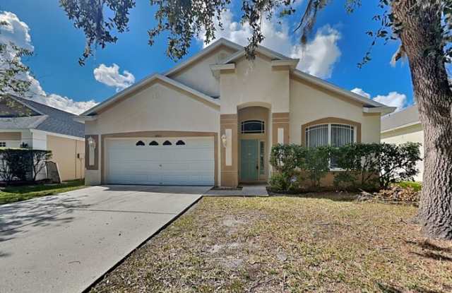 4943 Whistling Pines Court - 4943 Whistling Pines Court, Pasco County, FL 33545