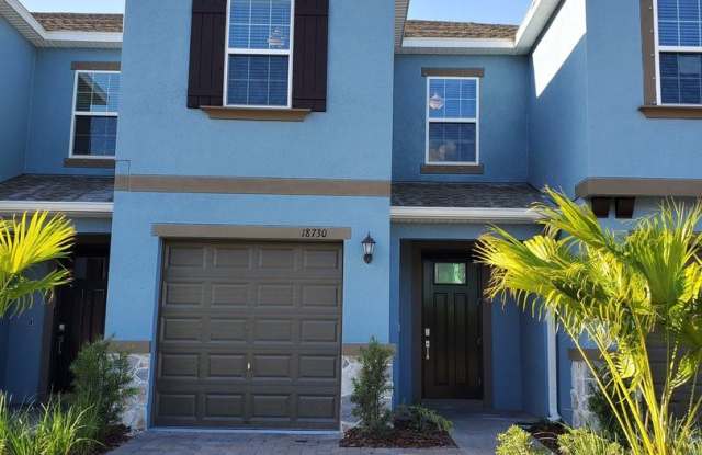 18730 Noble Caspian Dr - 18730 Noble Caspian Dr, Cheval, FL 33558