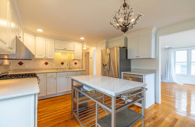 65 Sassamon Avenue - 65 Sassamon Avenue, Milton, MA 02186