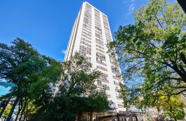 70 W Burton Place - 70 West Burton Place, Chicago, IL 60610