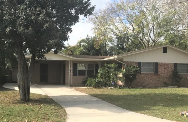 11436 Princessa Lane - 11436 Princessa Lane, Jacksonville, FL 32218