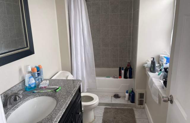 4 Bedroom House in Manayunk Gallery 4