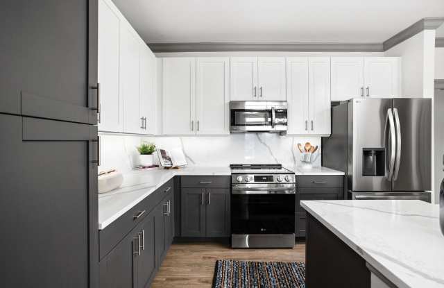 The Steadman Apartments Gallery 2