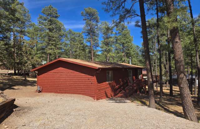 Single Level Three Bedroom Home with Bonus Room photos photos
