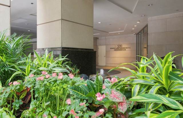530 N Lake Shore Drive Gallery 3