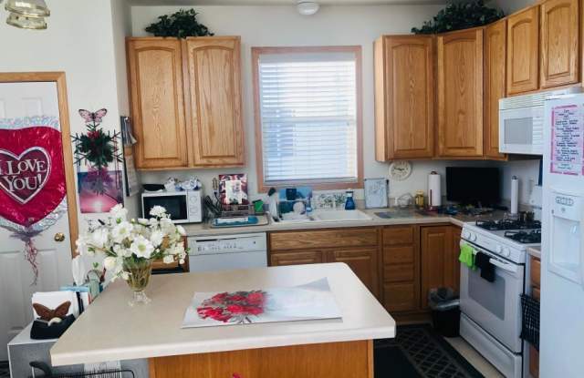 15222 Florist Cir - 15222 Florist Circle, Apple Valley, MN 55124