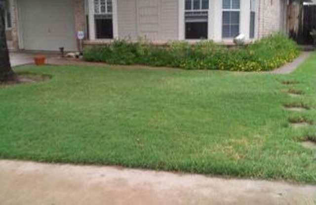 16819 Village Oak Loop - 16819 Village Oak Loop, Brushy Creek, TX 78717