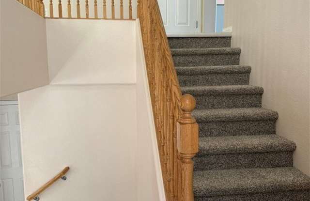 9558 Scorpion Track Court Gallery 3