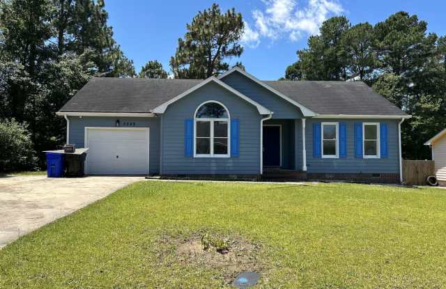 Spring Lake Life photos photos