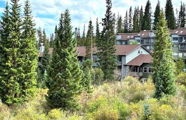 Winter Seasonal Rental- Buffalo Ridge G106 photos photos