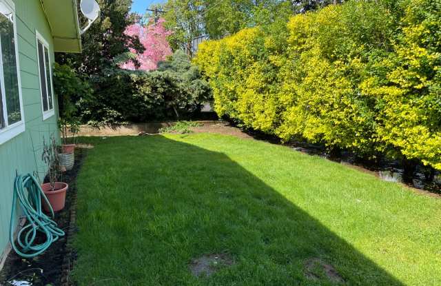 Coming Soon! Cozy 2 Bedroom Duplex Located in a Great Location Close to Washington Square.  Water/Sewer Included in Rent. Gallery 3