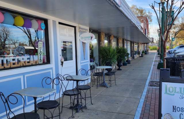 1529 S 1529 S Main Street #UNIT 3 - 1529 South Main Street, Pickens County, GA 30143