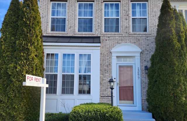 15377 ELIZABETH BURBAGE Loop photos photos