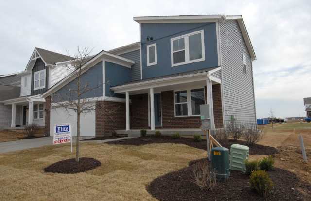 O'Fallon/ Wentzville/ Lake St louis Area photos photos